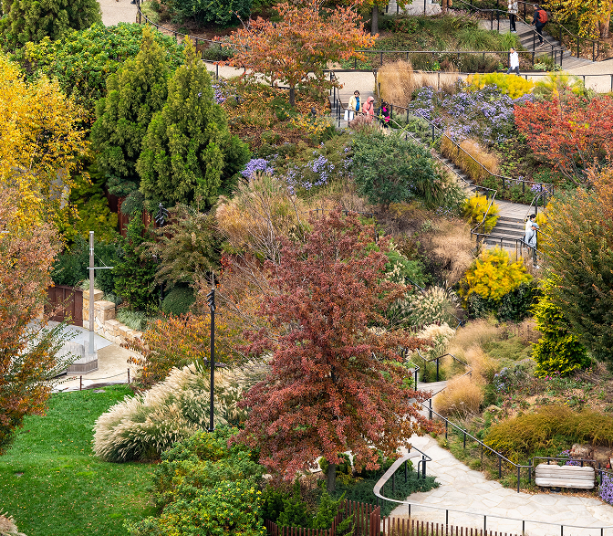 Fall