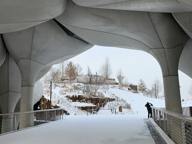Winter
