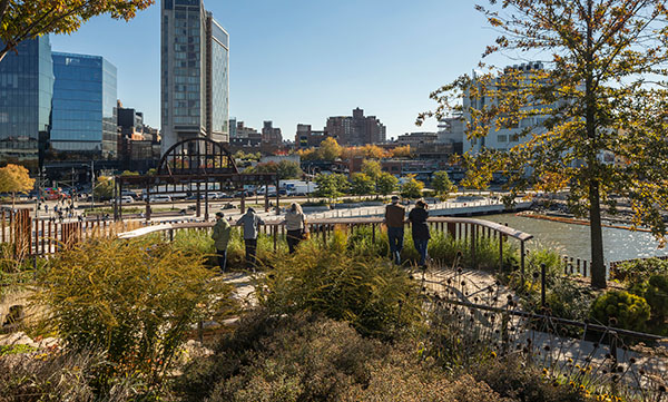 Little Island park photo