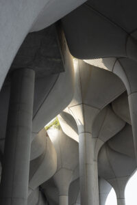 Park photo