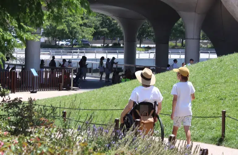 Park photo