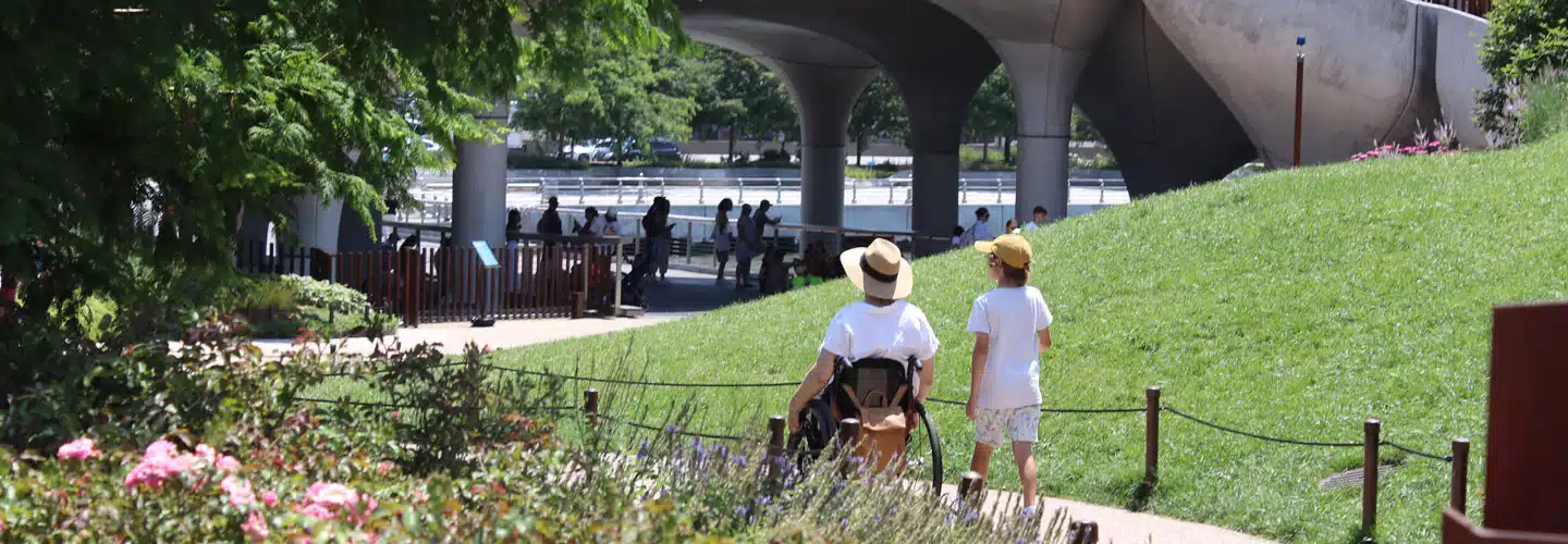Park photo